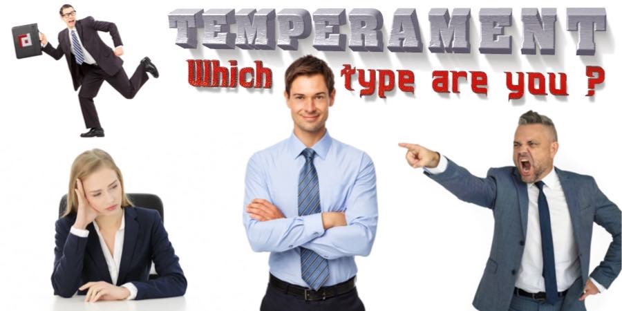 Temperament: Which type are you?