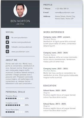 CV / Resume Example 1