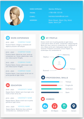 CV / Resume Example 2